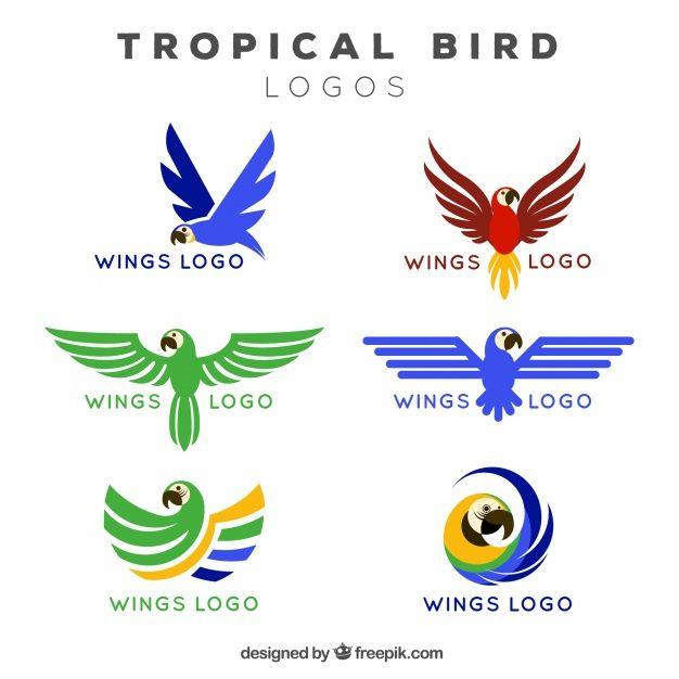 Bird Wing Logo - Logos of tropical bird wings Vector