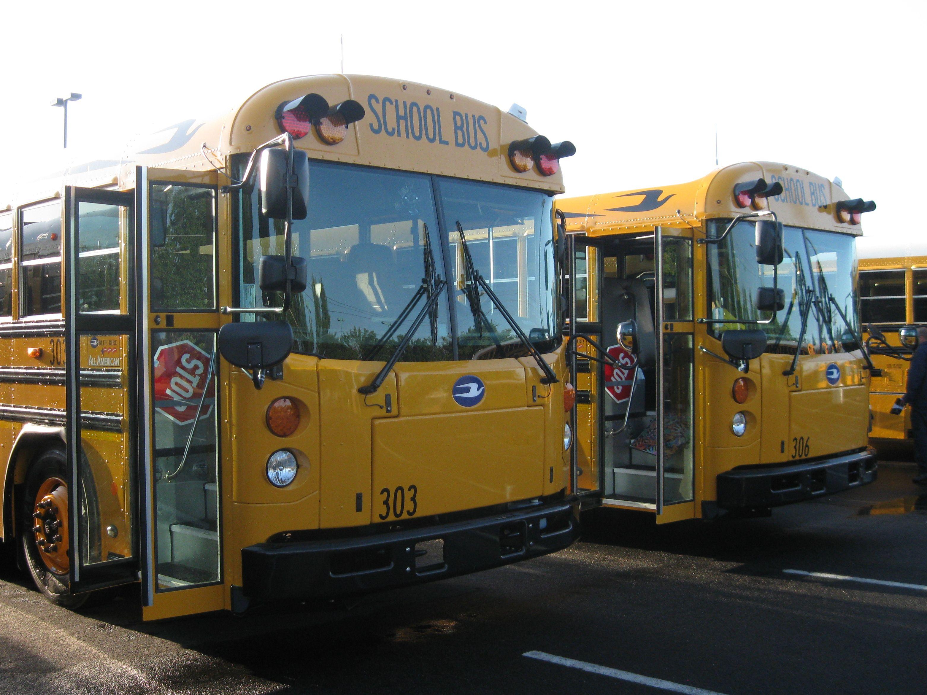 Blue Bird All American Logo - File:Two Blue Bird All American T3 RE school buses.jpg - Wikimedia ...