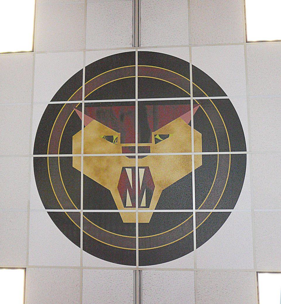 Dalton High School D Logo - Dalton High School in Dalton, GA | Studio 84 Designs