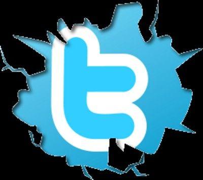 Cracked Twitter Logo - Hidden Photo Gallery - Twitter Logo