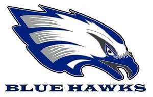 Blue Hawk Head Logo - Information about Blue Hawk Logo