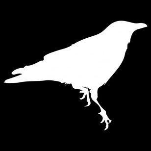 White Crow Logo - The White Crow