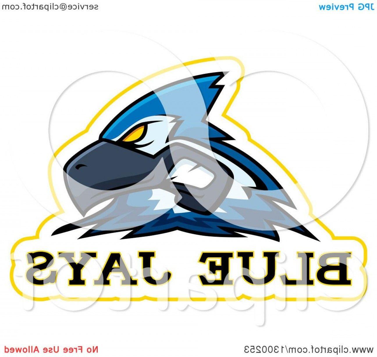 Blue Hawk Head Logo - Hawk Head Vector Rivalart
