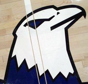 Blue Hawk Head Logo - Blue hawk -New Logo mascot printed on the floor of athletic center