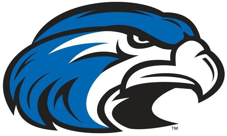 Blue Hawk Head Logo - In the Mind of Tony Potts