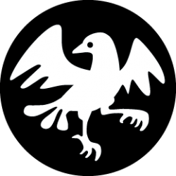 White Crow Logo - white crow taiji