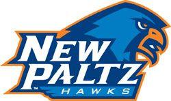 Blue Hawk Head Logo - SUNY New Paltz of Communication & Marketing
