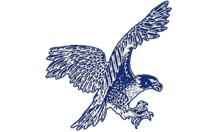 Blue Hawk Head Logo - Delaware Blue Hawks