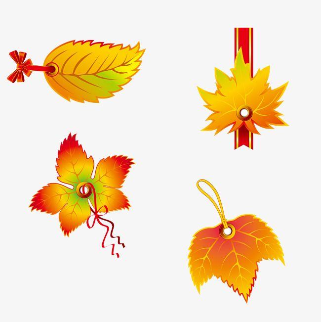 Orange Leaf Logo - Autumn Leaves Vector Tag, Logo Leaves, Orange Leaves Logo, Autumn ...