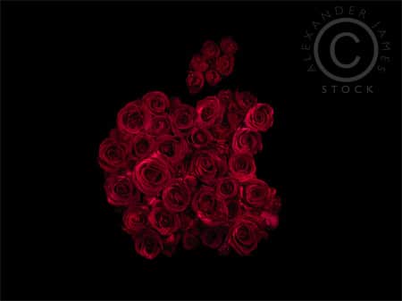 Apple Flower Logo - Famous Logos Redesigned With Red Roses | Bit Rebels