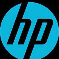 HP Enterprise Services Logo - HP Enterprise Services, MI