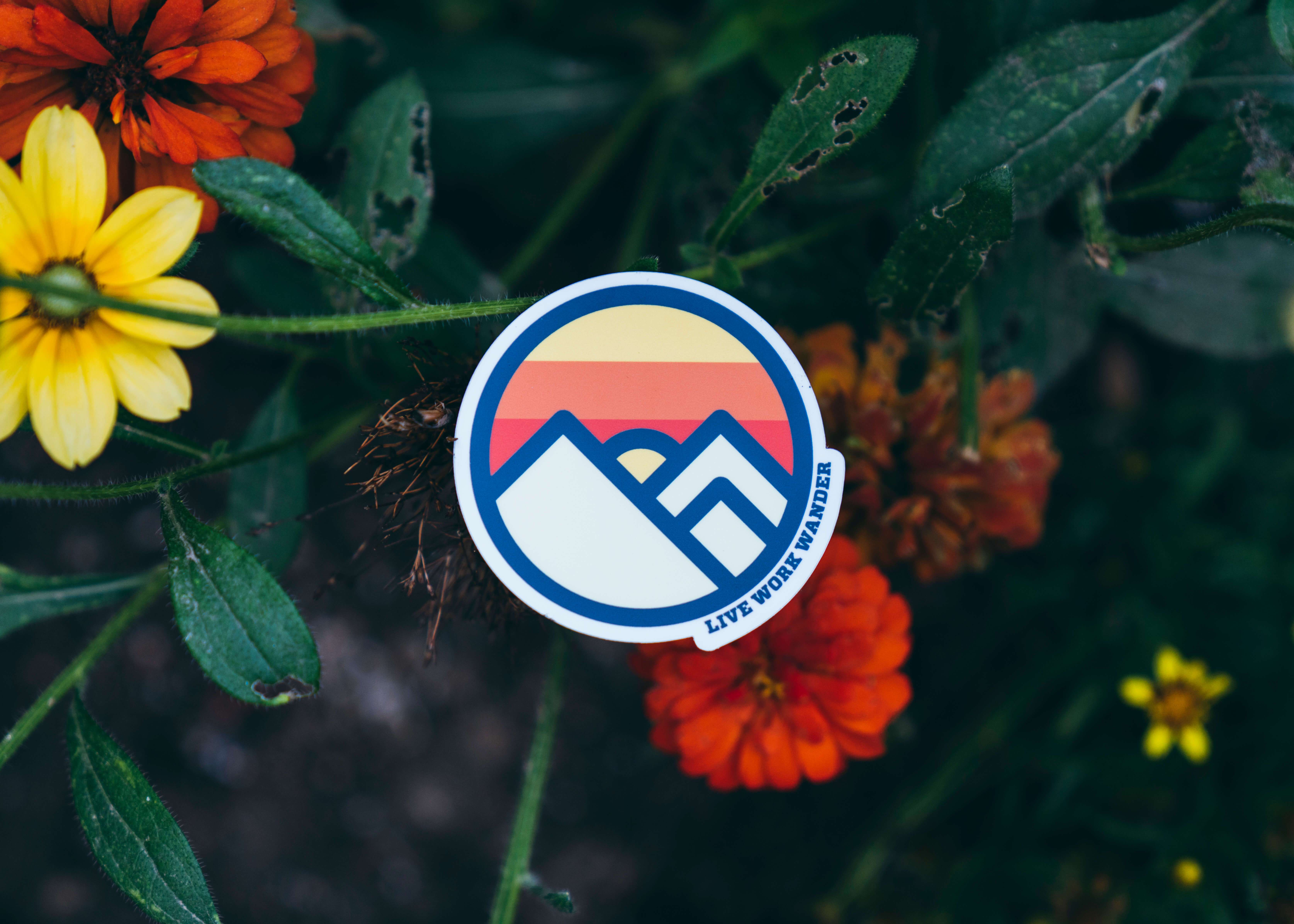 Sunset Flower Logo - Sunset Logo | Live Work Wander