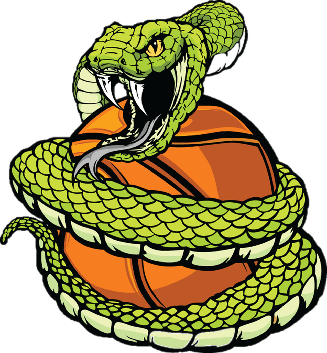Cobra Basketball Logo - Basketball