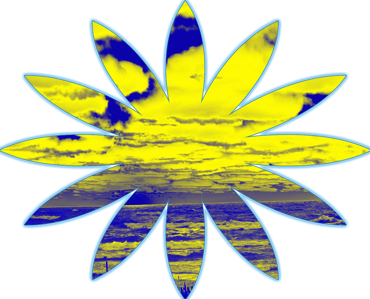 Sunset Flower Logo - Yellow Blue Sunset Flower - Steelhead Threads