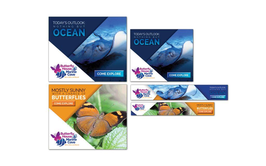 Outlook Butterfly Logo - Butterfly House & Aquarium. HenkinSchultz Creative Services