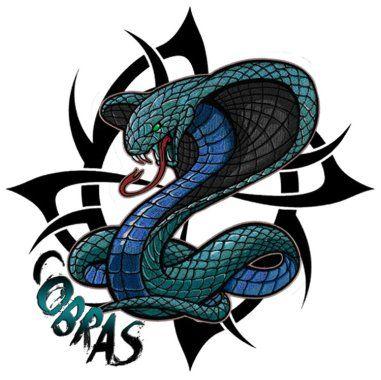 Cobra Basketball Logo - King Cobras Basketball