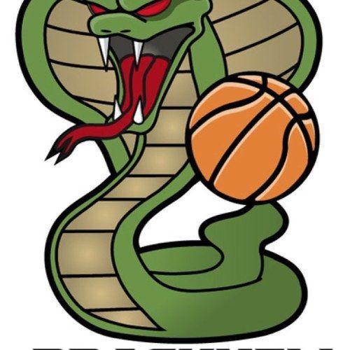 Cobra Basketball Logo - Bracknell Cobras (@Bracknellcobras) | Twitter