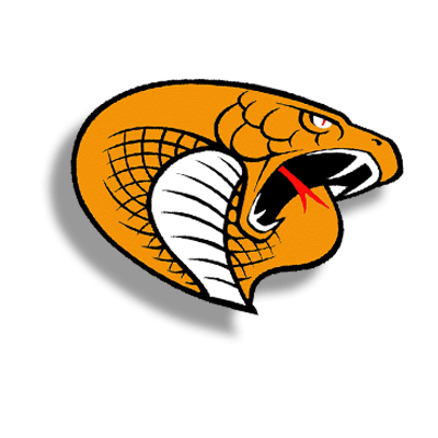 Cobra Basketball Logo - Snap! Raise | Fundraising for Teams, Groups & Clubs