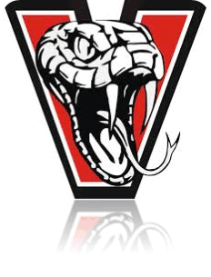 Cobra Basketball Logo - KW YBA Summer Camp - KW YBA