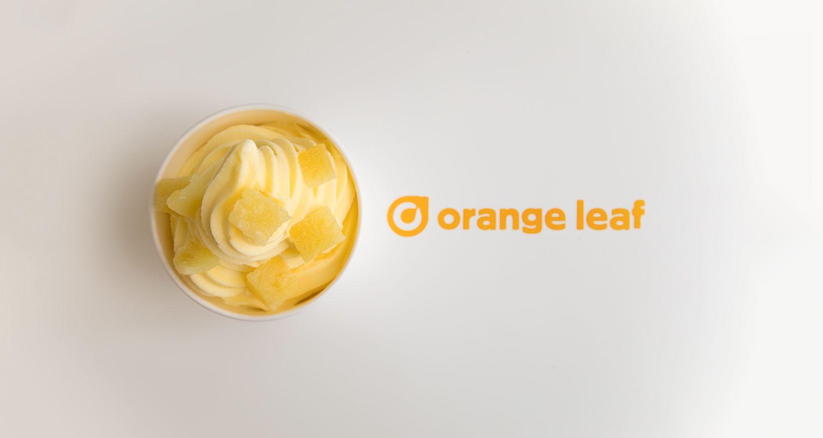 Orange Leaf Logo - Orange Leaf Frozen Yogurt — Nicole Murphy Portraits