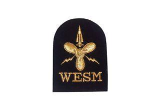 Gold Branch Logo - ROYAL NAVY WESM Trade Badges Weapons Branch Patch & Black