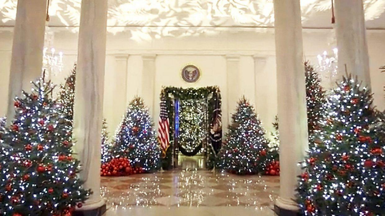 Red White Blue House Logo - White House Christmas features red trees, nation's 'bounty
