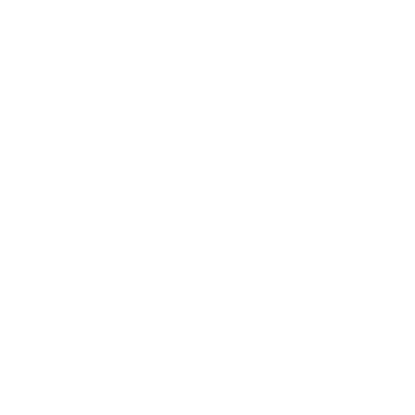 DeMarini Logo - BAT BAGS – FUSE Industrial Design
