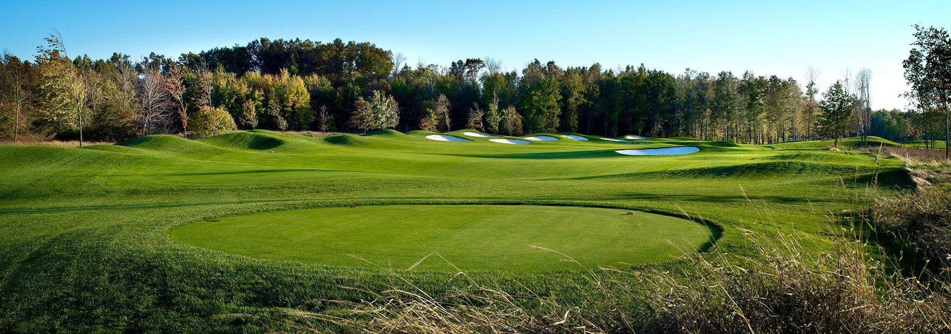 Red Hawk Golf Logo - Avon Golf Tail Golf Club (440) 937 6018