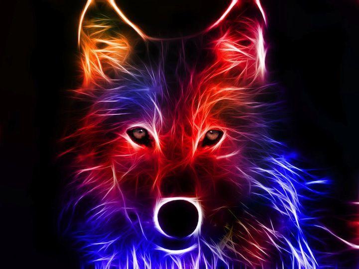 Red and Blue Cool Wolf Logo - Spectacular Animal Portraits as Electrifying Bursts of Color. Fun