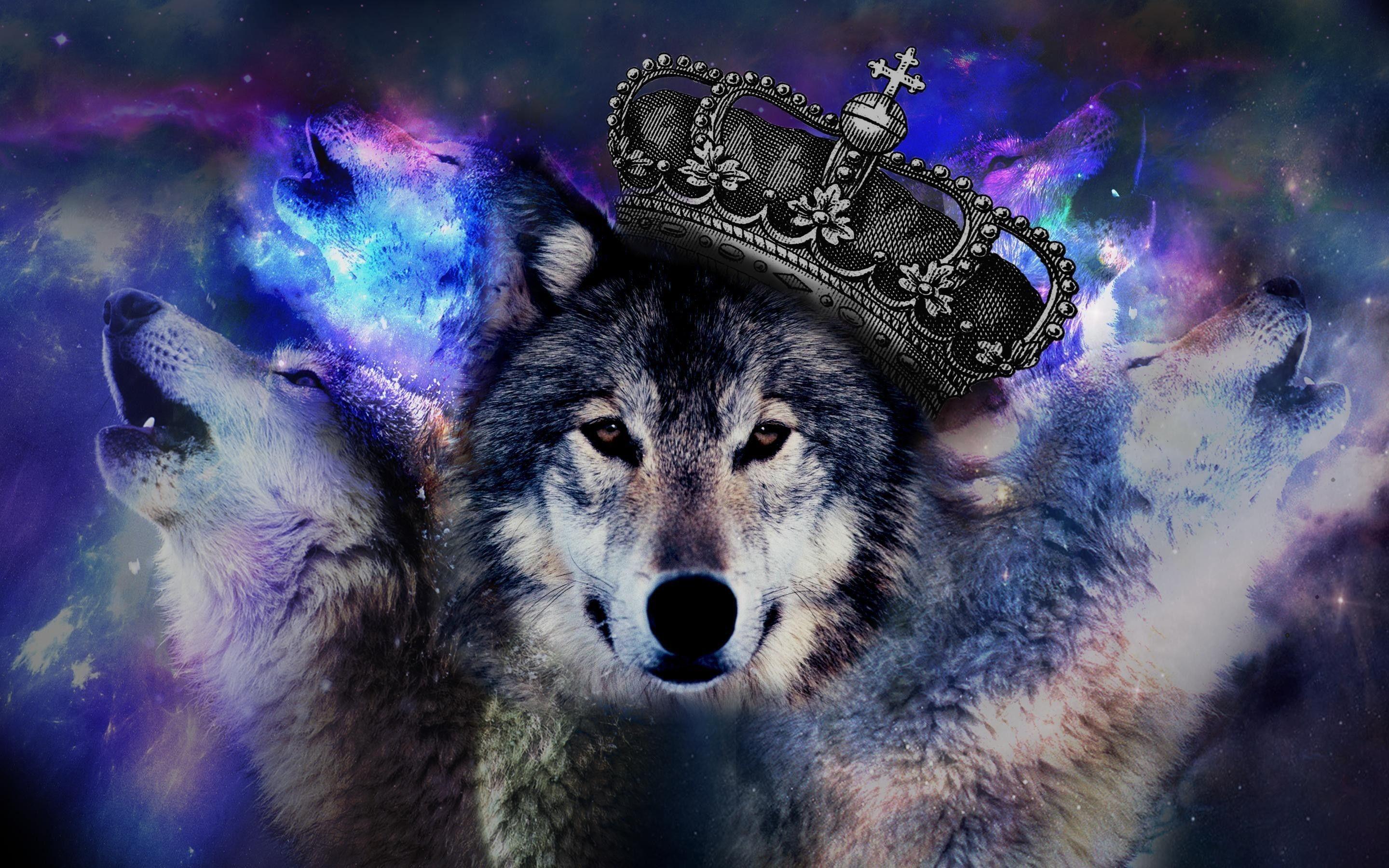 Red and Blue Cool Wolf Logo - 71+ Cool Wolf Wallpapers on WallpaperPlay