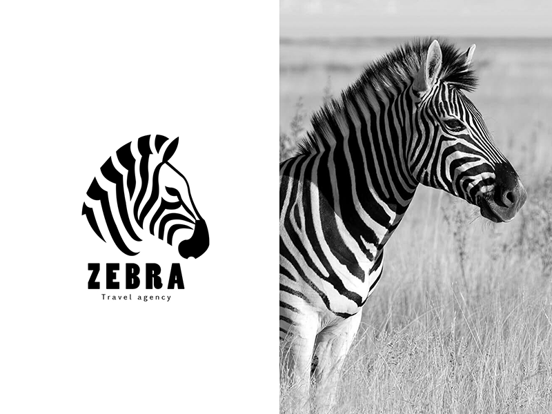 Zebra Construction Logo - Animal logo Zebra