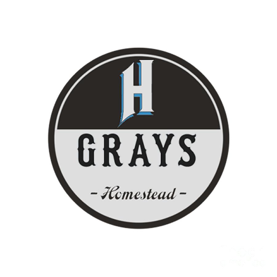 Grays Team Logo - Homestead Grays Negro League Retro Logo Digital Art by Spencer ...
