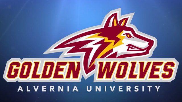 Red and Blue Cool Wolf Logo - Alvernia University unveils Golden Wolves logos