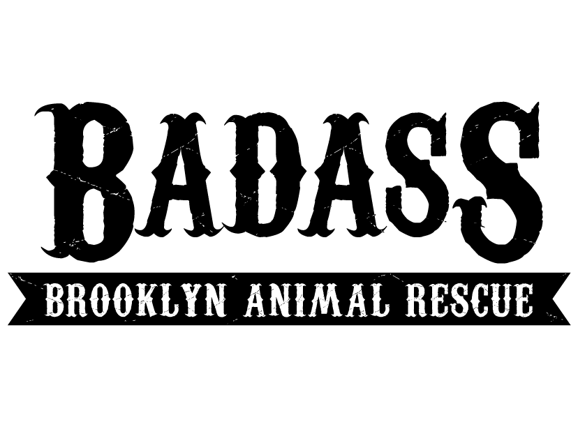 Animal Organizations Logo - Badass Brooklyn Animal Rescue