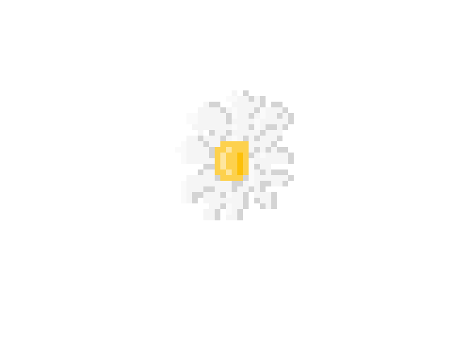 Pixel Daisy Logo - PIXEL Daisy