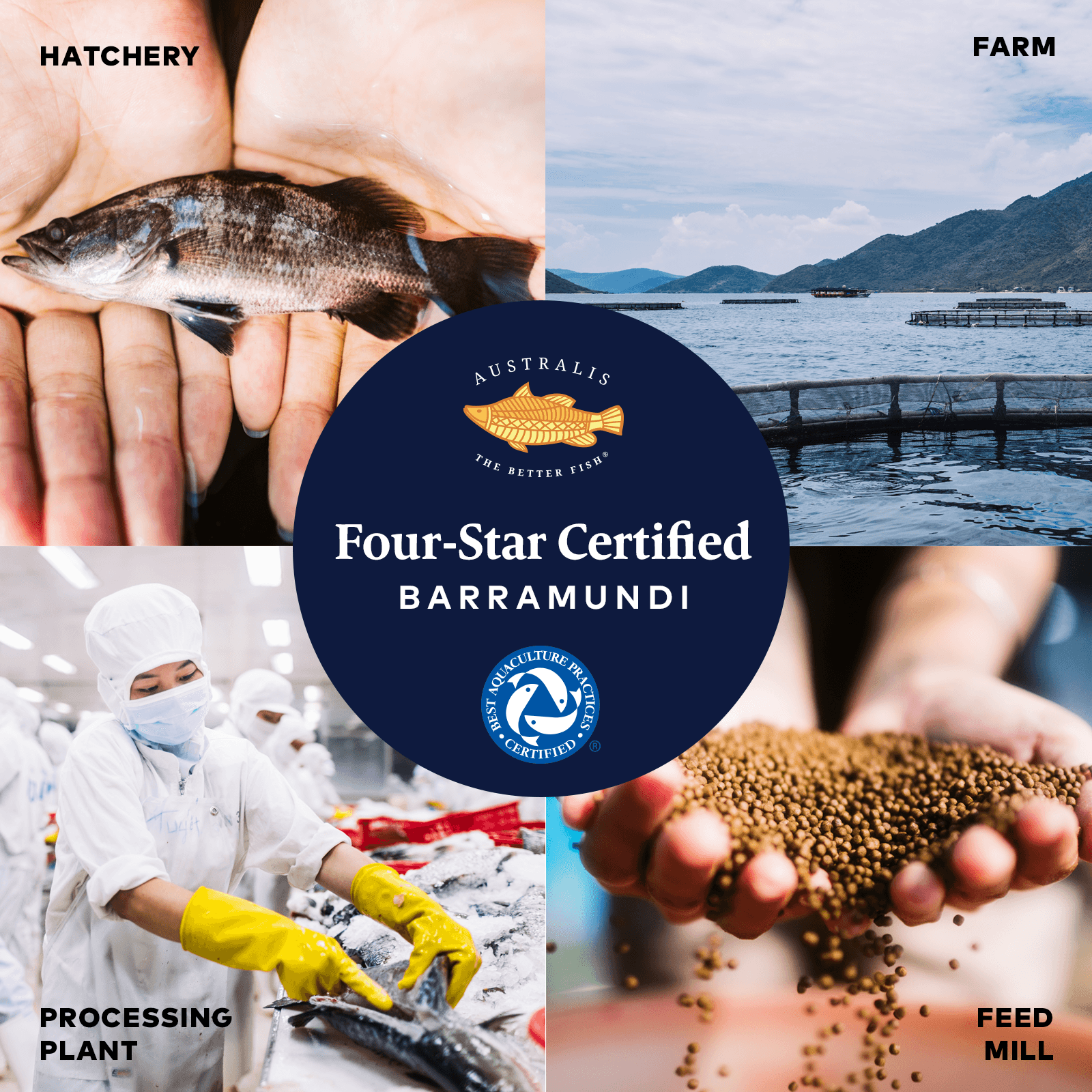 4 Star Bap Logo - How BAP Certification Is Improving Trust In Farm Raised Fish