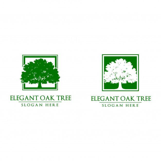 Oak Tree Logo - Oak tree logo Vector | Premium Download
