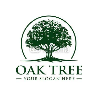 Oak Tree Logo - Oak Tree Logo. Buy Photo