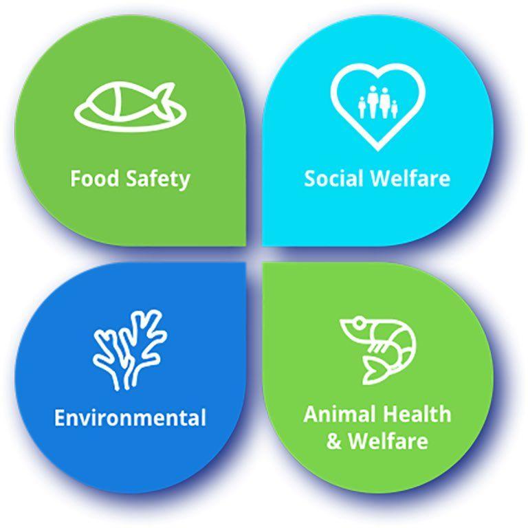 4 Star Bap Logo - bestaquaculturepractices