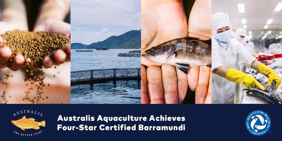 4 Star Bap Logo - How BAP Certification Is Improving Trust in Farm-Raised Fish | Australis