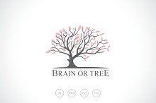 Oak Tree Logo - Oak tree logo Photo, Graphics, Fonts, Themes, Templates Creative