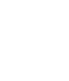 Scott Name Logo - Agnes Scott College