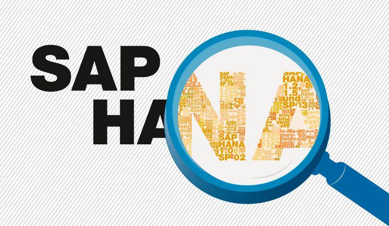 SAP Hana Logo - Using SAP Hana as a data warehouse | Vizteams