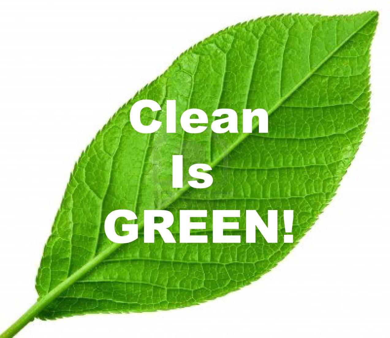Going Green Chemicals Logo - Are “green” chemicals more expensive? If so, why should cleaners
