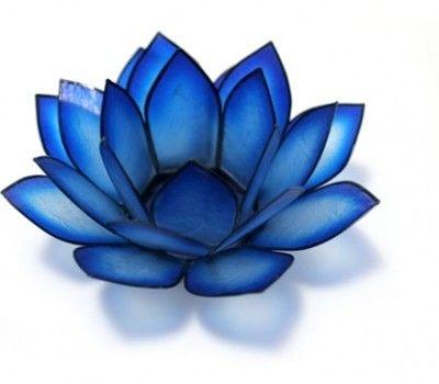 Blue Flowers Logo - Sapphire Blooms- Greenville Florist