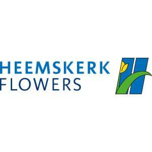 Blue Flowers Logo - blueroots-partners-_0013_heemskerk-flowers-logo-FC - Blueroots