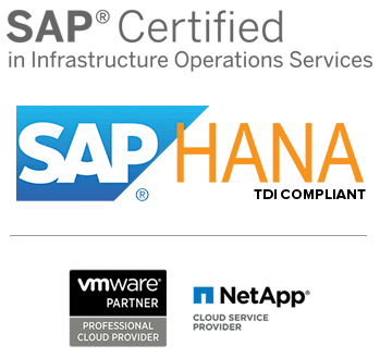 SAP Hana Logo - Solución SAP