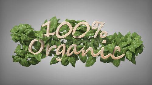 Leaves around Logo - Wooden logo 100 % organic with leaves around 3d rendering - 2334367 ...