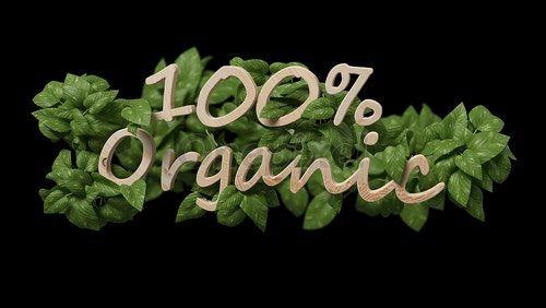 Leaves around Logo - Wooden logo 100 % organic with leaves around 3d rendering - 2334294 ...