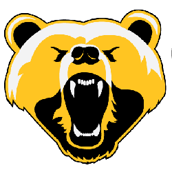 Boston Bruins Logo - Boston Bruins Concept Logo | Sports Logo History
